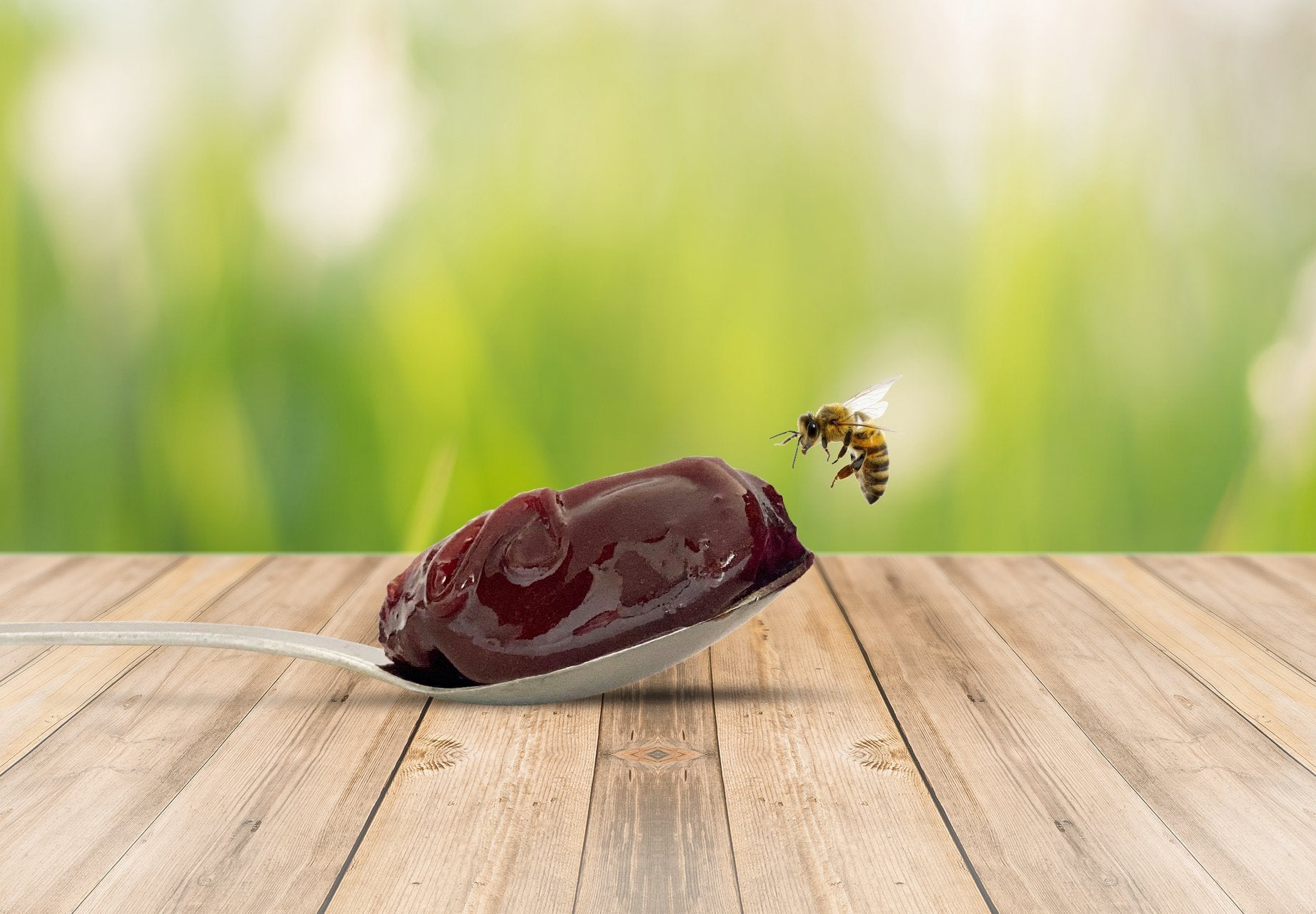 The Wild Story of Manuka, The Bees, and Honey - TURNER New Zealand